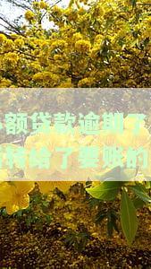 小额贷款逾期了之后转给了要账的