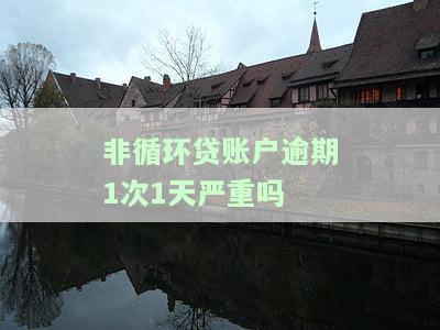 非循环贷账户逾期1次1天严重吗？影响及解决方法解析