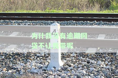 网贷没有逾期为何被限制使用？影响因素解析