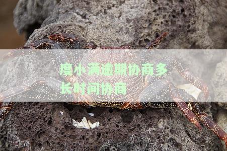 度小满逾期多久会被起诉，度小满逾期时间：达到多少天会面临被起诉的风险？