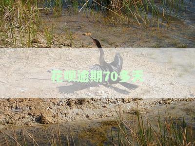 花呗逾期70天是否会通知紧急联系人？