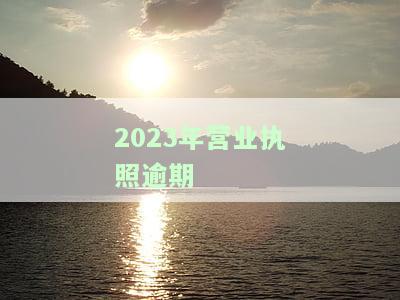 营业执照逾期年审的处罚及其规定与依据