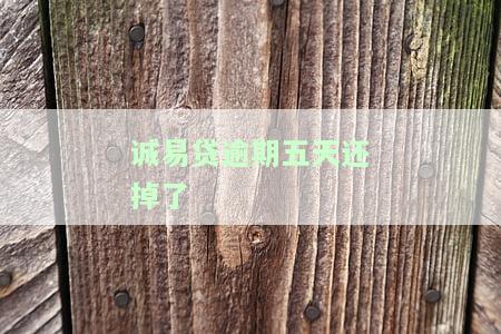 诚易贷：逾期一次能否再借款？安全风险如何？逾期两天是否会上征信？