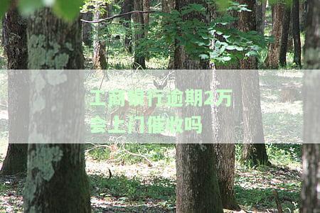 工商逾期2万多久上家门，工商逾期两万元，多久会上门催收？