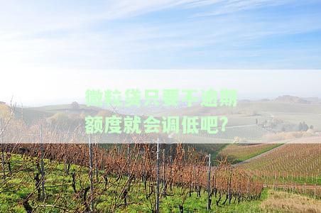 微粒贷从来没有逾期会被降额度吗，从未逾期的微粒贷用户，是否会遭遇到额度下降的情况？