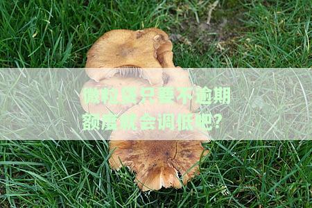 微粒贷只要不逾期额度就会调低吧?-微粒贷只要不逾期额度就会调低吧吗