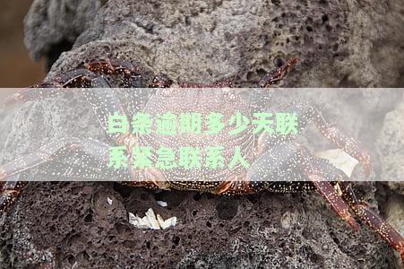 白条逾期25天：明天将联系紧急联系人，请保持电话畅通