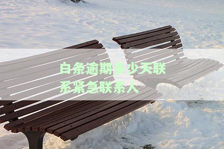 白条逾期多久会收到电话催收？