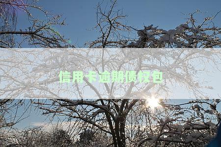 信用卡逾期债权包-信用卡逾期债权包括哪些