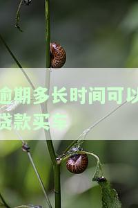 '逾期还款后多久能买房买车？影响因素解析'