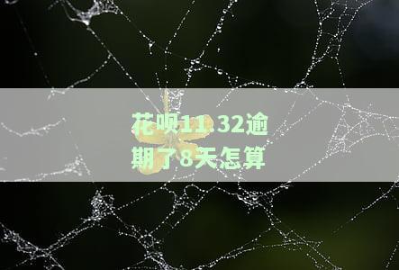 花呗逾期了八天全部还款多久可以再，花呗逾期8天后全部还款，需要多久才能再次进行操作？