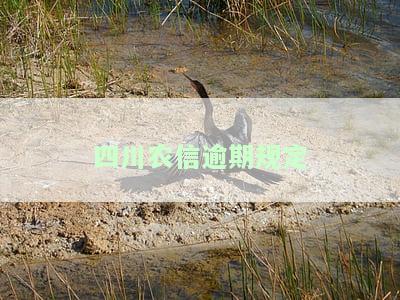 四川农信逾期规定最新政策及消息全解析