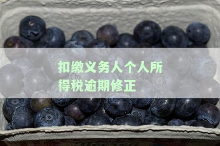如何填写和处理扣缴义务人个人所得税逾期修正申报？