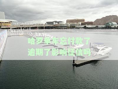 哈罗单车忘付款了逾期了影响征信吗-哈罗单车忘付款了逾期了影响征信吗怎么办