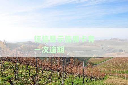 个人征信报告有一次信用卡逾期，信用卡逾期一次是否会影响个人征信报告？