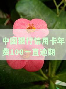 2019年中国银行信用卡年费还需消费多少次，解析2019年中国银行信用卡年费政策：需要消费多少次才能免年费？