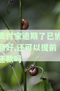 支付宝逾期协商日期前未还清后果？逾期后如何协商还款？
