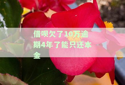 借呗欠款10万逾期4年，能否只还本金？