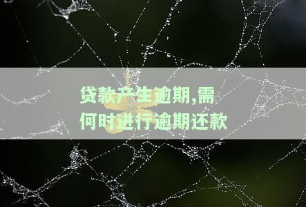 贷款产生逾期,需何时进行逾期还款申请，如何处理贷款逾期？及时申请逾期还款的步骤