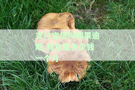 蚂蚁借呗逾期了利息是多少，解答你的疑问：蚂蚁借呗逾期后的利息究竟如何计算？