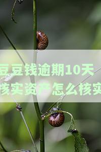 豆豆钱逾期6天会是打给填资料的紧急联系人吗，豆豆钱逾期6天，是否会拨打紧急联系人？