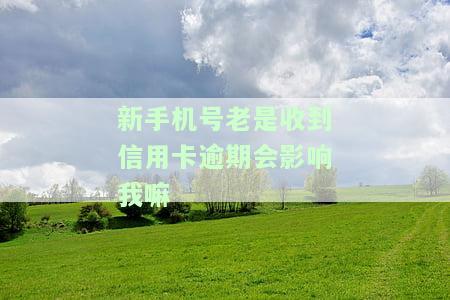 新手机号老是收到信用卡逾期会影响我嘛，新手机号频繁收到信用卡逾期通知，会对我的信用产生影响吗？