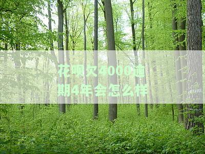 欠花呗4000多元逾期1年之后还,罚多少利息，逾期一年还清花呗4000多元，需要支付多少罚息？