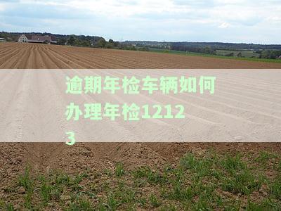 逾期年检车辆如何办理年检，逾期未办年检？车辆年检怎么办理？