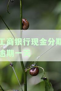 工商银行卡逾期催收：先还部分，余款可分期，需尽快还款