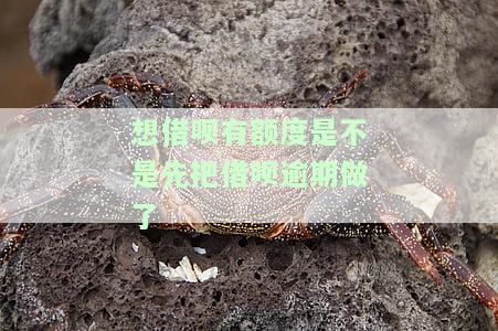 借呗有额度了是不是征信就好了，借呗有额度是否意味着征信状况良好？