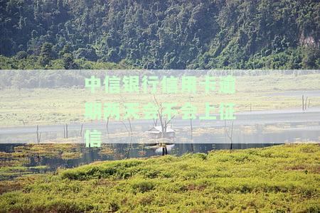中信银行逾期两天后还款卡就刷不了了，中信银行：逾期两天后，还款卡无法使用