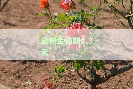 住房公积金逾期两天，忘记还款？小心住房公积金逾期两天！