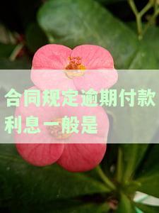 合同规定逾期付款利息一般是