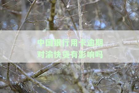 中国银行逾期会影响其他银行信用卡吗？