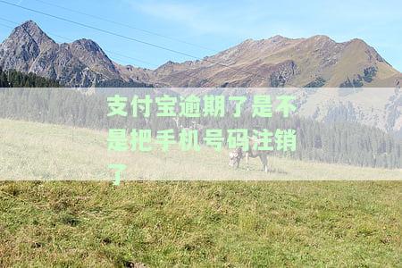 支付宝逾期以前的号码没用了，解决支付宝逾期问题：如何联系客服？