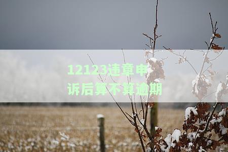 12123违章申诉后算不算逾期处理，申诉12123违章后，是否算逾期处理？