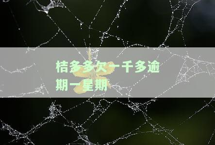 桔多多逾期一周，桔多多遭遇逾期危机，一周未能如期履行义务