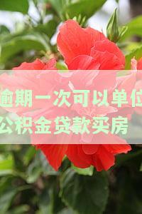逾期一次对公积金贷款买房有影响吗？
