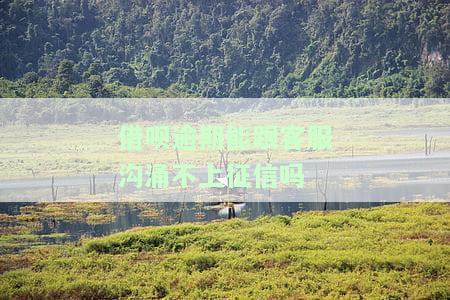 借呗逾期能否找客服协商？全网都在问！