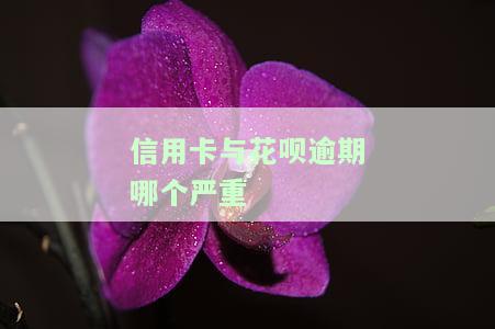 信用卡与花呗逾期哪个严重点，信用卡与花呗逾期，哪个后果更严重？