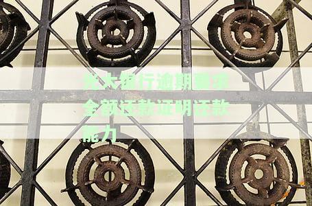 光大银行逾期要求全额还款：证明还款能力不足，如何处理？