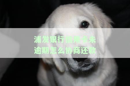浦发银行信用卡未逾期怎么协商还款