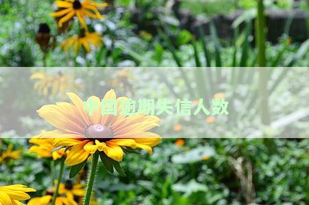 中国失信人数及被执行情况概览