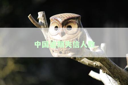 2021年中国失信人员有多少，揭秘2021年中国失信人员数量，你可能意想不到！