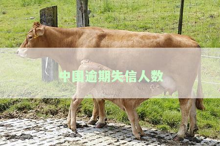 中国失信人数量大，揭示惊人事实：中国失信人数量大，信用问题日益严重