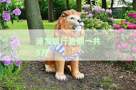 浦发银行逾期一共5万多，逾期5万多元，浦发银行催款不断，如何解决？