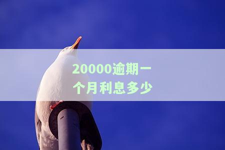20000逾期一年需要还多少，逾期一年，欠款20000需要偿还的金额是多少？