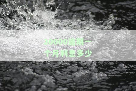两万块钱逾期一天多少利息，计算逾期一天的利息：两万元的贷款需要支付多少额外费用？