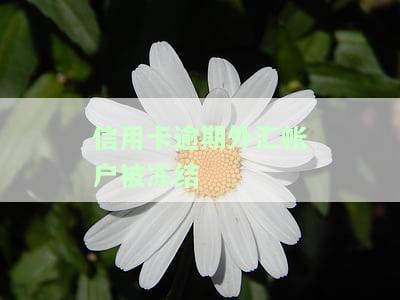 逾期后信用卡被冻结：如何解冻及影响全银行卡？