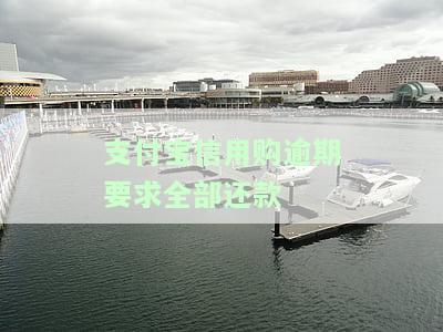 支付宝信用购多久还款，支付宝信用购：了解你的还款期限